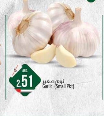 Safari Hypermarket Garlic Small Pkt offer