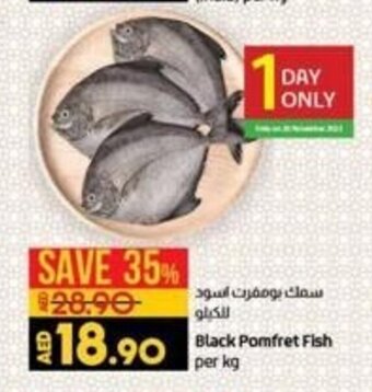 Lulu Hypermarket Black pomfret fish per KG offer