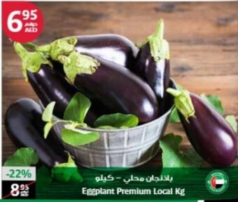 Aswaaq Eggplant premium local KG offer