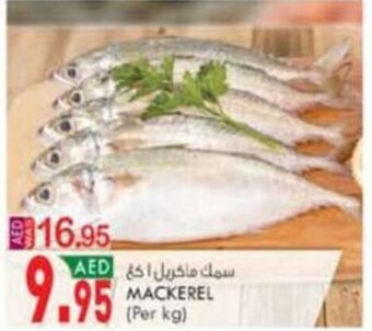 KM Trading Mackerel (Per kg) offer