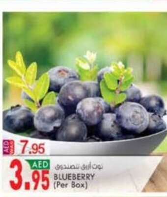 KM Trading Blueberry (per box) offer
