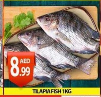 PARCO Hypermarket Tilapia fish 1kg offer