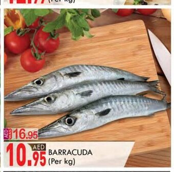 KM Trading Barracuda (per kg) offer