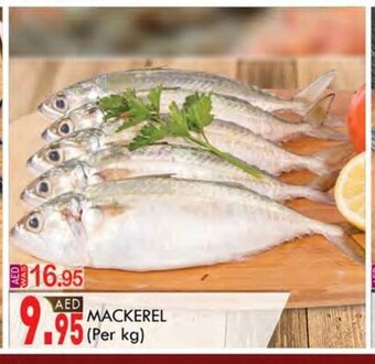 KM Trading Mackerel (per kg) offer