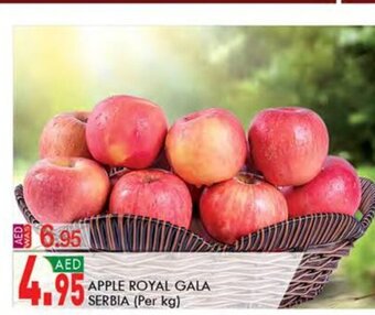 KM Trading Apple royal gala serbia (per kg) offer