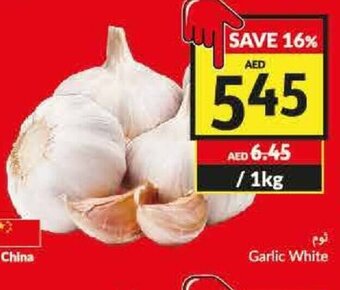 Viva Garlic White 1kg offer