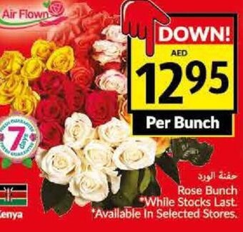 Viva Rose Bunch offer