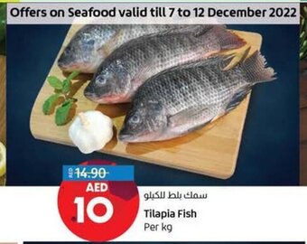 Lulu Hypermarket Tilapia Fish per KG offer