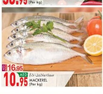 KM Trading Mackerel per kg offer