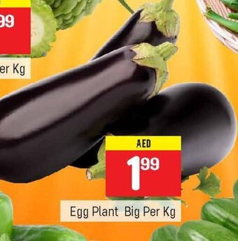 City Retail Supermarket Egg plant big per kg offer