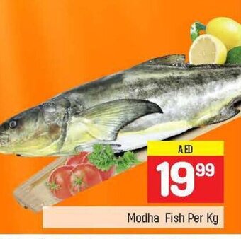 City Retail Supermarket Modha fish per kg offer