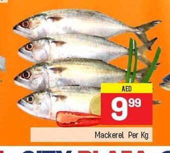 City Retail Supermarket Mackerel per kg offer