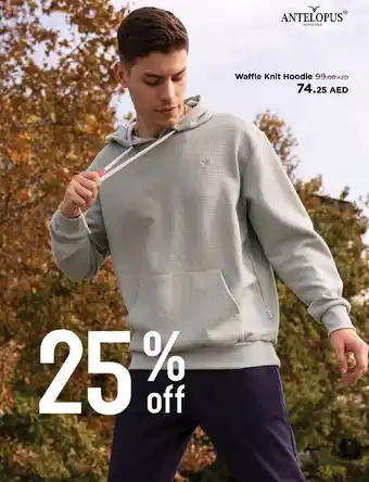 Nesto Antelopus Waffle Knit Hoodie offer
