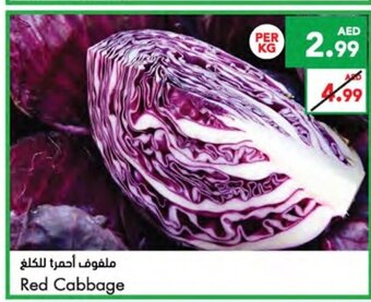 Almaya supermarket Red cabbage per kg offer