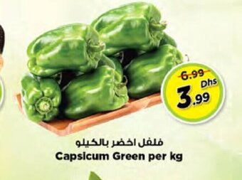 Nesto Capsicum Green Per Kg offer