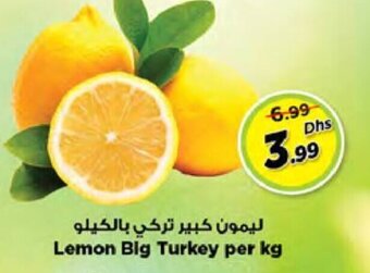 Nesto Lemon Big Turkey Per Kg offer