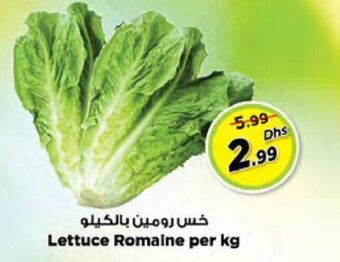 Nesto Lettuce Romaine per kg offer