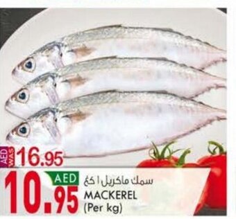 KM Trading Mackerel offer