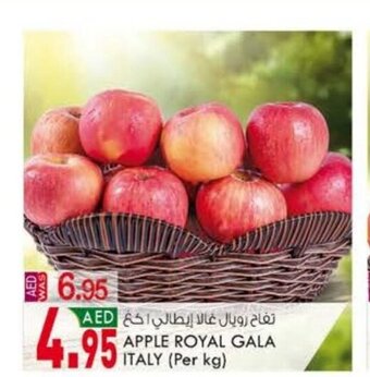 KM Trading Apple Royal Gala Italy offer