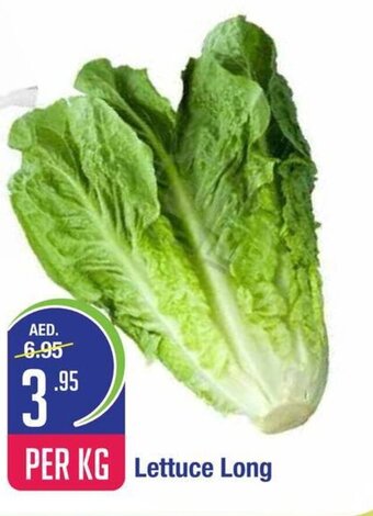 West Zone Supermarket Lettuce Long Per Kg offer