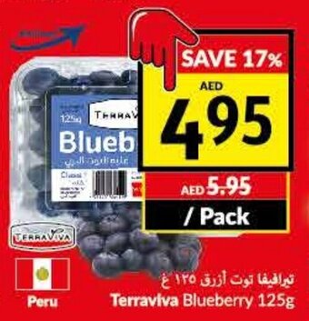 Viva Terraviva blueberry 125g per pack offer