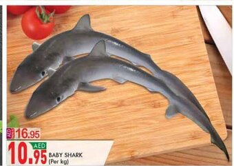 KM Trading Baby shark (per kg) offer