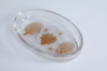 PAN Emirates Pan westin soap dish clear offer