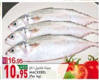 KM Trading Mackerel Per Kg offer