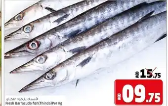 Kenz Hypermarket Fresh Barracuda Fish Per Kg offer