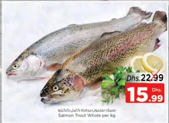 Nesto Salmon trout whole per kg offer