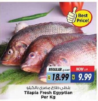 Last Chance Tilapia Fresh Egyptian Per Kg offer