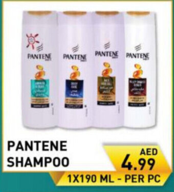 Day To Day Pantene shampoo 1x190ml offer