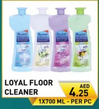 Day To Day Loyal floor cleaner 1x700ml offer