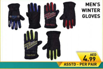Day To Day Men's winter gloves offer