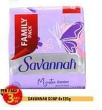 Day To Day Savannah Soap 4x120g offer