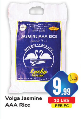 Day To Day Volga Jasmine AAA Rice 10Lbs offer