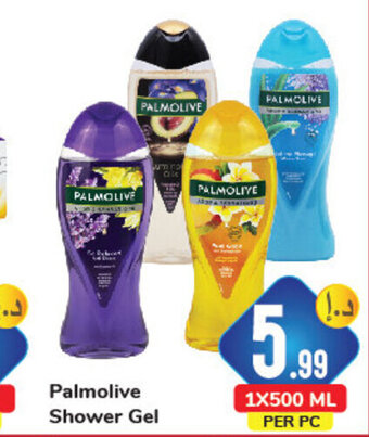 Day To Day Palmolive Shower Gel 1x500ml offer