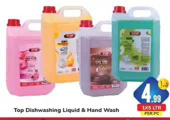 Day To Day Top Dishwashing Liquid & Hand Wash 1x5ltr offer