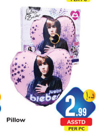Day To Day Pillow offer