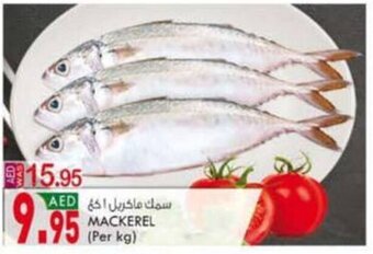KM Trading Mackerel (per kg) offer