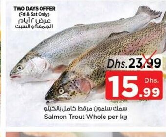 Nesto Salmon trout whole per kg offer