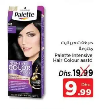 Nesto Palette intensive hair colour asstd offer
