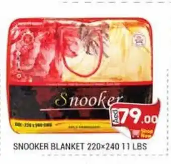 Pasons Snooker blanket 220 x 240 11lbs offer