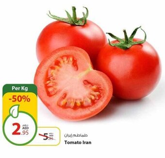 Earth Supermarket Tomato per kg offer
