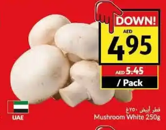 Viva Mushroom white 250g per pack offer