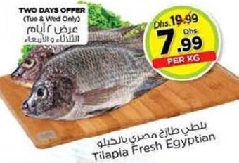 Nesto Tilapia Fresh Egyptian offer