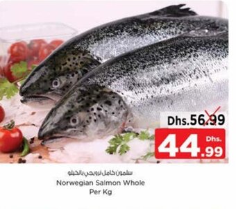 Nesto Salmon Whole Per Kg offer