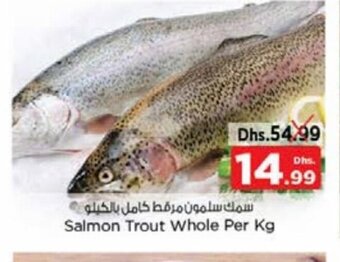 Nesto Salmon Trout Whole Per Kg offer