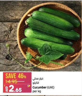 Lulu Hypermarket Cucumber (UAE) per kg offer