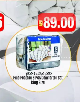 Fine Feather 6 pcs comforter set king size